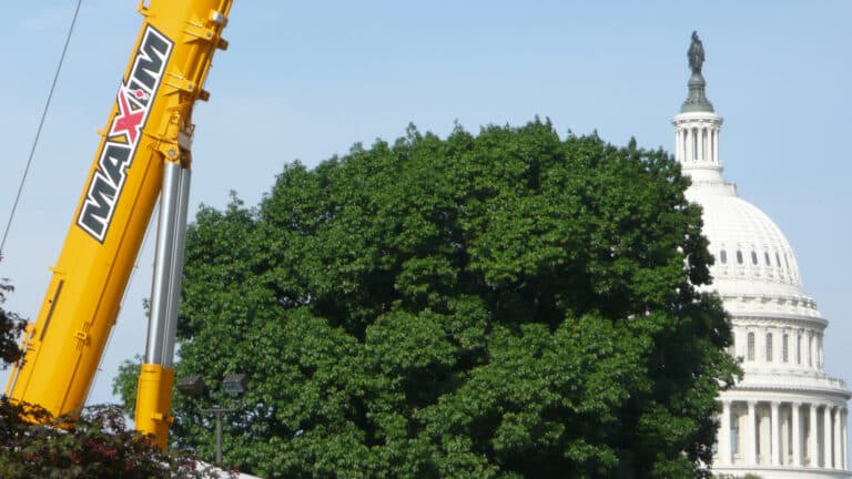 Maxim crane in foreground and Capital in background government building construction project