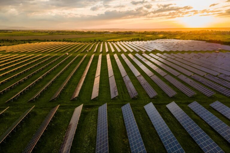 Sunset over solar panels in a lush green field, showcasing renewable energy technology.