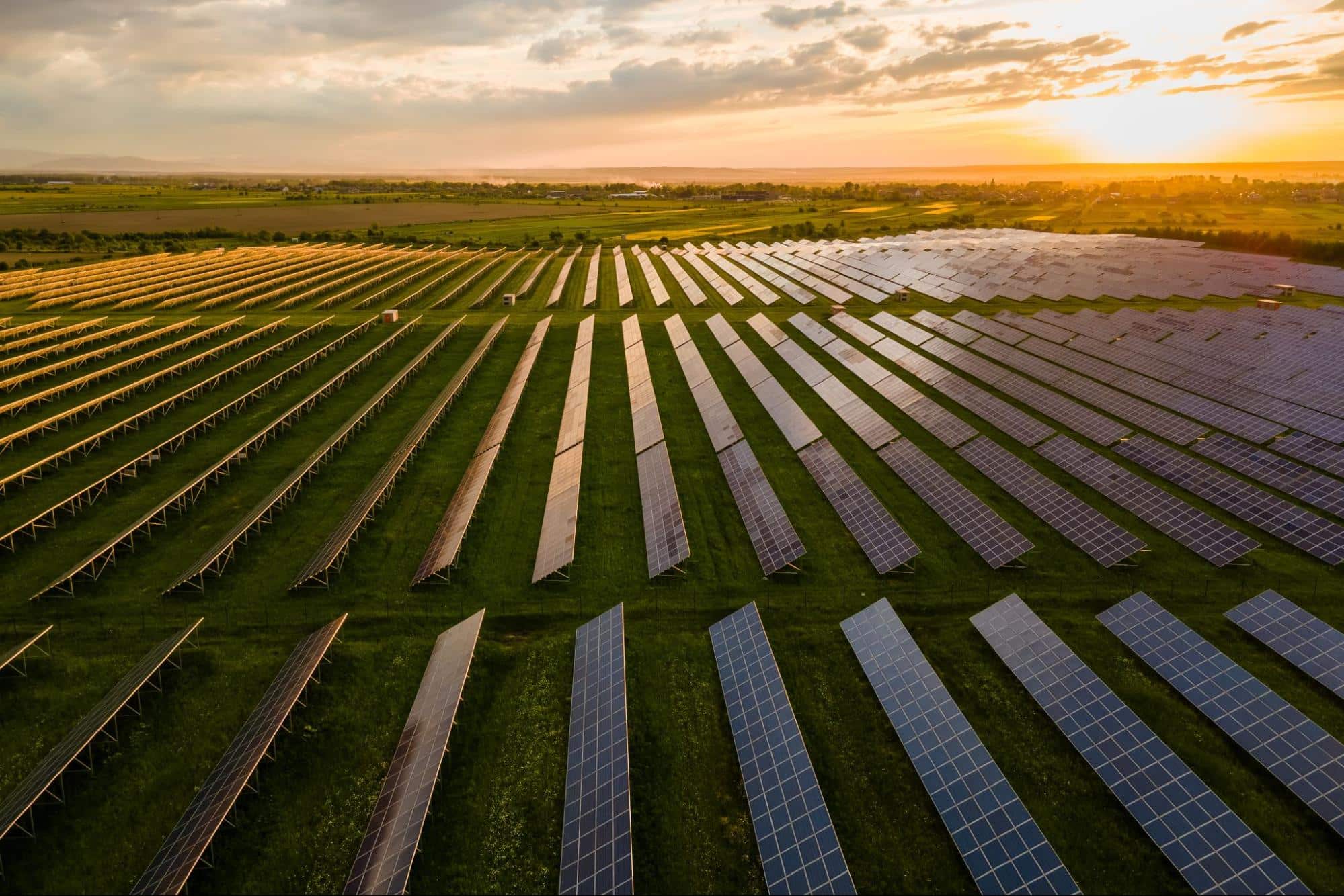 Sunset over solar panels in a lush green field, showcasing renewable energy technology.